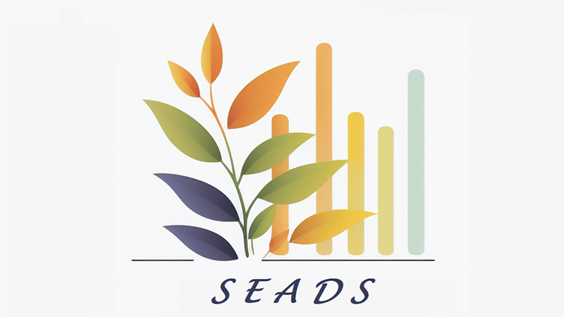 SEADS Data Science for Effective Good cover image